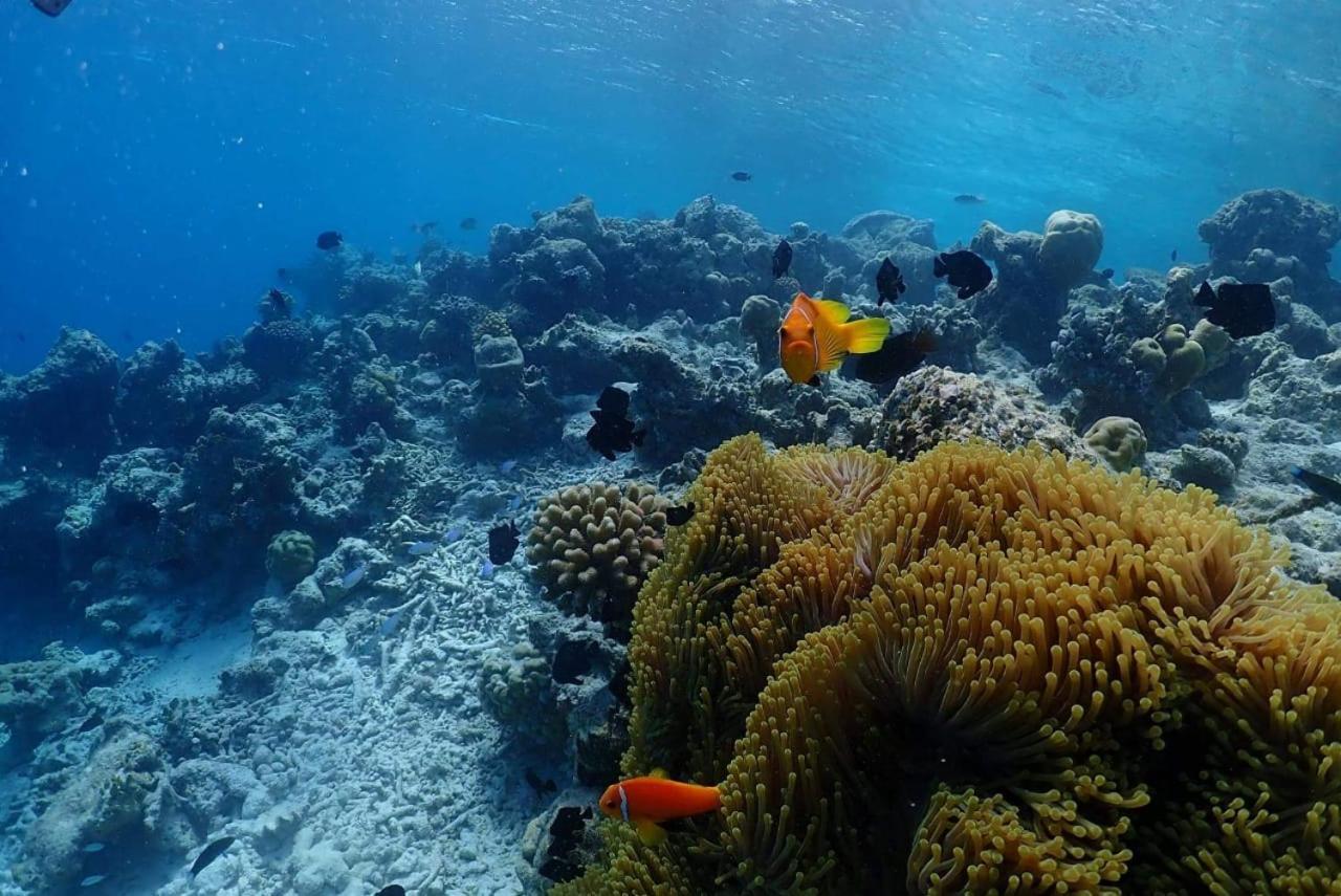 Hotel Chambao Maldives Guraidhoo  Exteriér fotografie